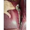 La-Z-Boy - Recliner sofa. - Photo 7