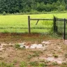 Ryan Homes - Lawn Grading Issue  - Photo 3