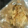 Ritz Crackers - Ritz toasted chips - Photo 1