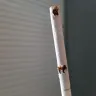Dosal Tobacco - Holes in cigarettes