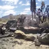 American Red Cross - I was told I couldnt be help and I was a day too late. - Photo 3