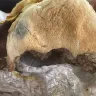 Wendy’s - Bourbon bbq burger - Photo 1
