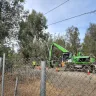 Mowbray's Tree Service - Overly aggressive and unnecessary tree cutting