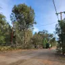 Mowbray's Tree Service - Overly aggressive and unnecessary tree cutting