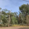 Mowbray's Tree Service - Overly aggressive and unnecessary tree cutting