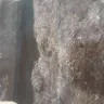 Mr. Rooter - Lines cut due to your workers (4th time I am sending a complaint) - Photo 1