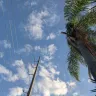 Tampa Electric / Teco Energy - Tree triming