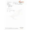 Air India - Inability to issue a replacement boarding pass & Charging me for the whole of my return journey - Photo 3