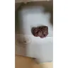 Ritz Crackers - human poo in box of Ritz crackers. - Photo 1