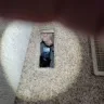 Environmental Air Specialists - Air duct cleaning/sanitizing
