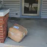 Sam's Club - Product handling and FedEx and FedEx delivery driver - Photo 1
