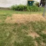 TruGreen - I would like a refund of all monies paid or my lawn to be returned the condition it was in before they destroyed it