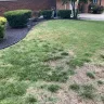 TruGreen - I would like a refund of all monies paid or my lawn to be returned the condition it was in before they destroyed it