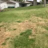 TruGreen - I would like a refund of all monies paid or my lawn to be returned the condition it was in before they destroyed it - Photo 1