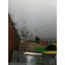 State Farm - Denial of Claim - Photo 1