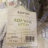 Booths - Romain lettuce covered in flies