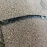 Above Roofing - The shoddy roofing project at my home