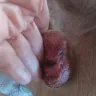 Banfield Pet Hospital - Banfield Dadeland Mall Miami INJURED MY DOG - Photo 1