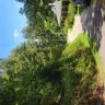 Georgia Power - Herbicide sprayed on my new grass and shrubs - Photo 1
