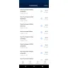 American Express - Fraudulent charges on / phishing - Photo 1