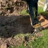 Sedgwick Claims Management Services - Damaged Sprinkler System Pipes by AT&T Contractors - Photo 2
