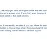 AuthorHouse - Publishing - Photo 5