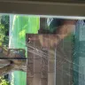 Lowe's - Order #[protected] Jeld-Wen Patio Door with Interior Blinds - Photo 1