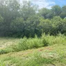 D.R. Horton - Yard not graded, ZERO effort to slope to our property line - Photo 1
