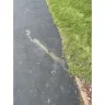 Gardner-Gibson - Black jack drive-maxx 1000 asphalt sealer.