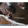 Rotor Piston Motorsportz - Automotive repair - Photo 3