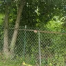 Jackson Painting Company - My insurance claim with farm bureau - Photo 20