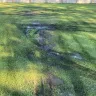 D.R. Horton - Septic System  - Photo 3