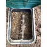 CJ Lawn & Landscaping LLC - irrigation line system install failure - Photo 8