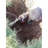 CJ Lawn & Landscaping LLC - irrigation line system install failure - Photo 2