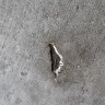 Proscape LLC - Concrete work