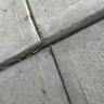 Proscape LLC - Concrete work