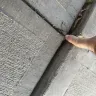 Proscape LLC - Concrete work