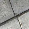 Proscape LLC - Concrete work