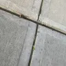 Proscape LLC - Concrete work