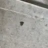 Proscape LLC - Concrete work