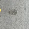 Proscape LLC - Concrete work
