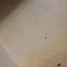Days Inn - Room conditions - Photo 1
