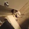 InTown Suites - Personal property damage/ - Photo 1