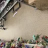 Family Dollar - store is a disaster never be for - Photo 2