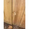 Lowe's - Fence installation - Photo 4