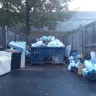 Morgan Properties - Village at Potomac Falls - Trash Problem - Photo 1