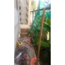 Narayanan - Illegal construction on my property compound wall
