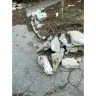 Amazon - Amazon delivery driver - Photo 5