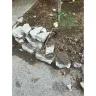Amazon - Amazon delivery driver - Photo 2