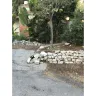 Amazon - Amazon delivery driver - Photo 1